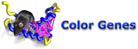 Color Genes WEB site